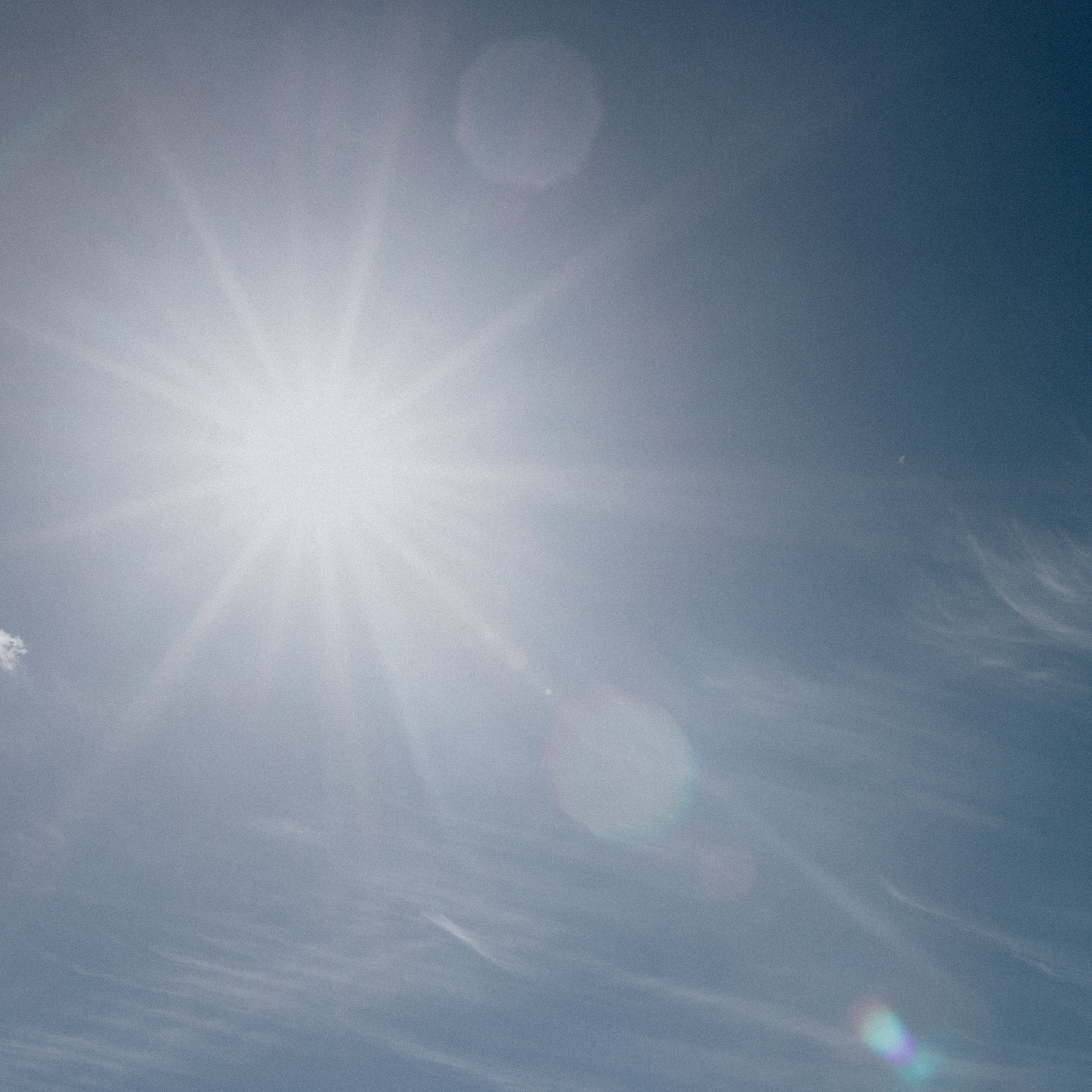 Dove representing the Holy Spirit